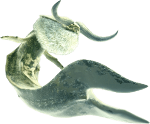 【指摘】正直描写的にドス古龍は通常モンスよりちょっと強い程度だよなｗｗｗｗ