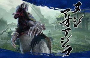 【朗報】傀異化アオアシラの掴みにはコレをwwwwwwwwww