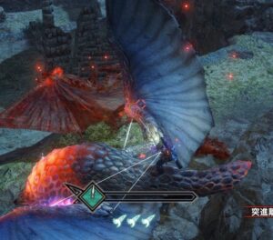 【疑問】不安定じゃないの？バゼルギウスの操竜ってなんでこんな所に乗るんだ？