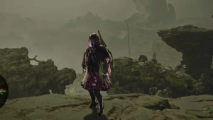 【疑問】蝕攻の開発の想定する使い方を知りたい