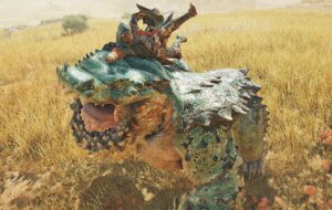 【要望】モンスターへの乗りも削除してほしい